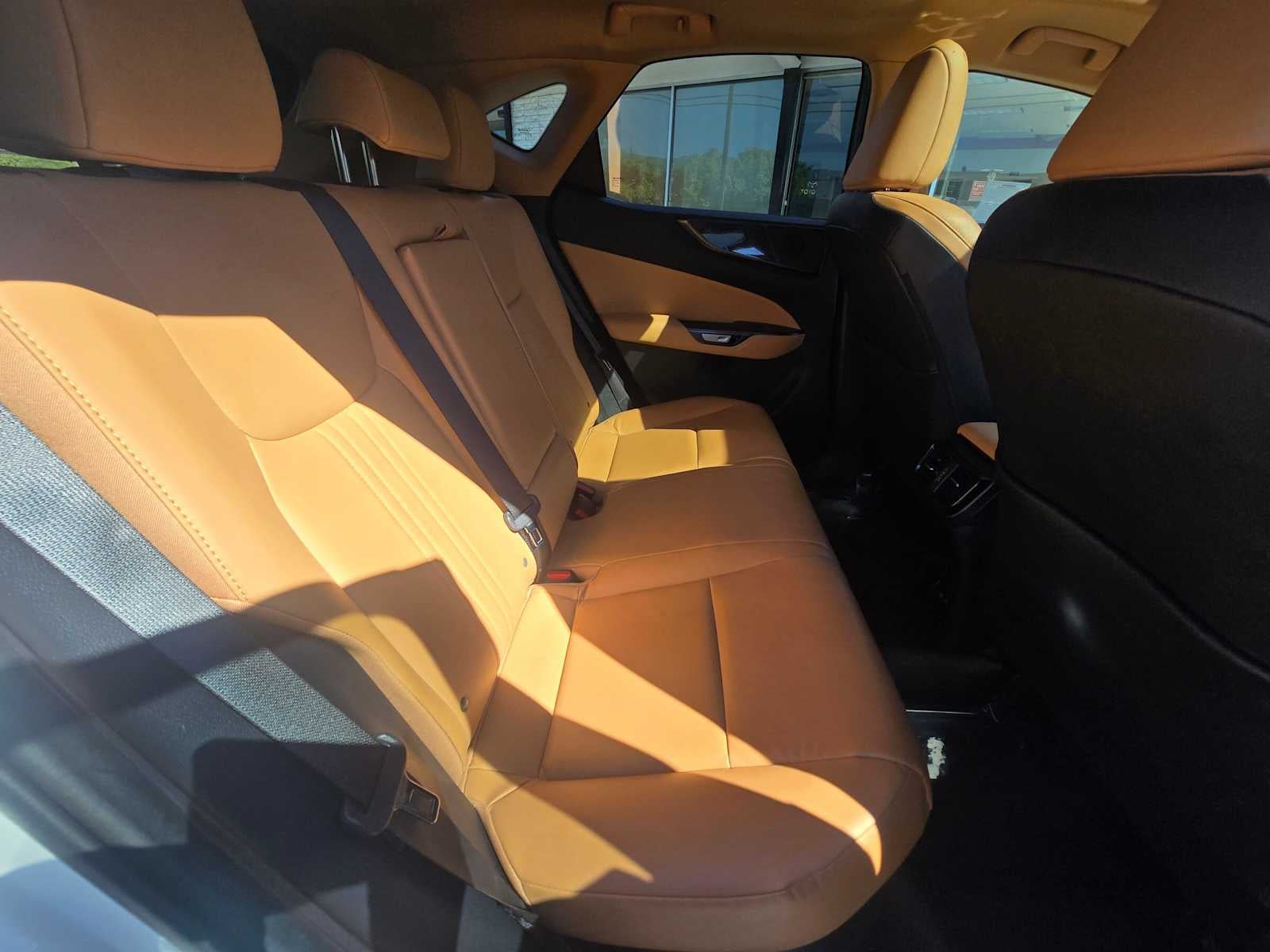 2025 Lexus NX 350h Premium