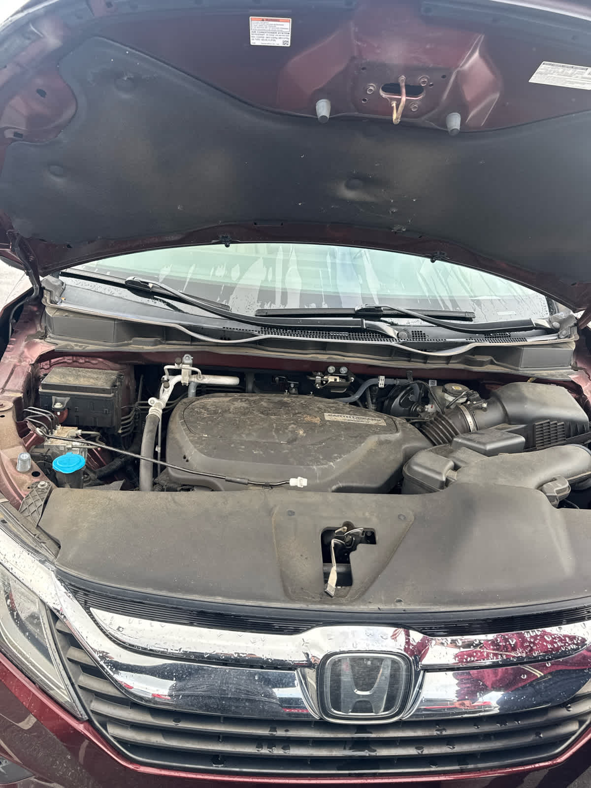 2019 Honda Odyssey EX-L