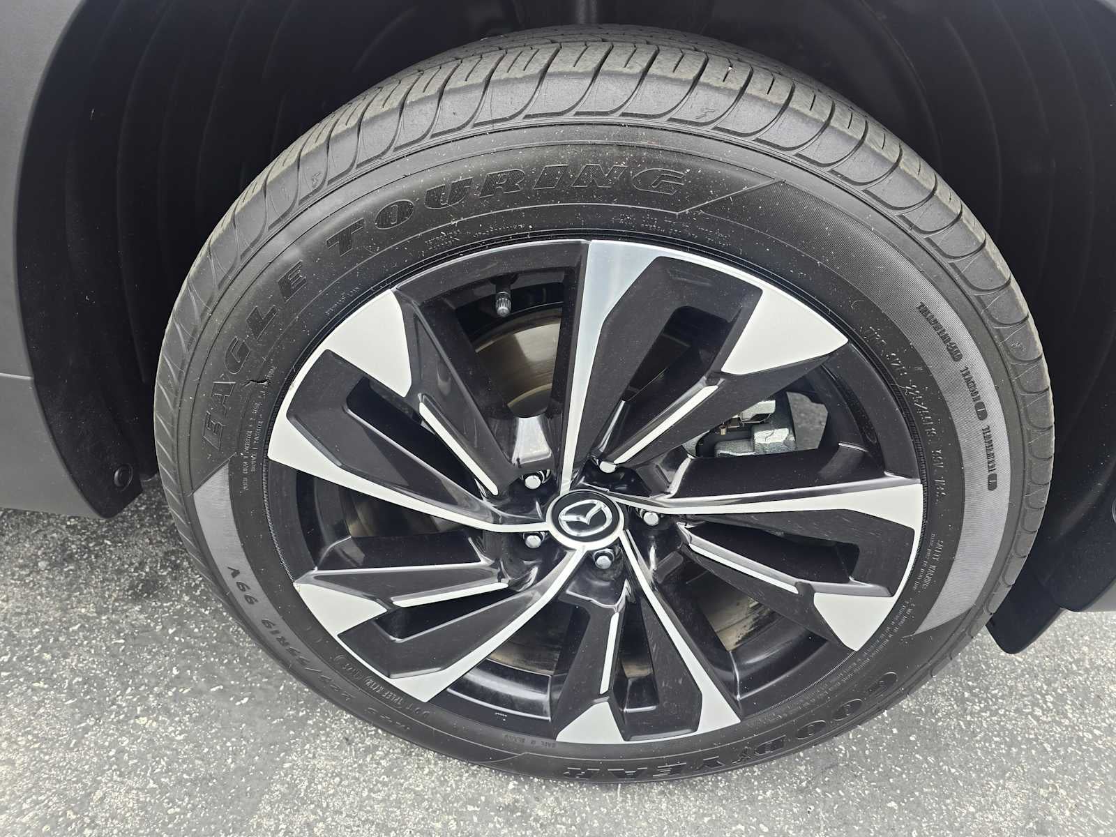 2025 Mazda Mazda CX-50 Hybrid Premium Plus Package