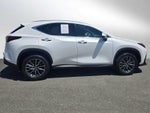 2024 Lexus NX 350h Premium