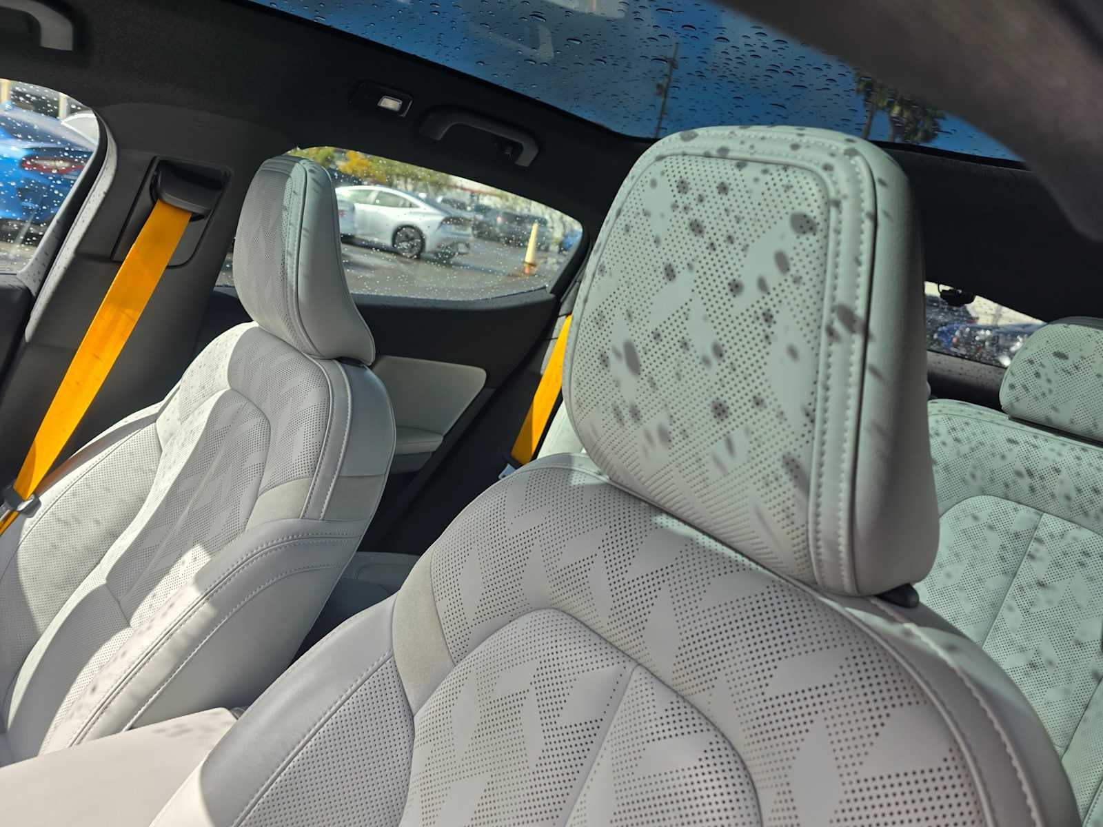 2023 Polestar 2 Performance Plus